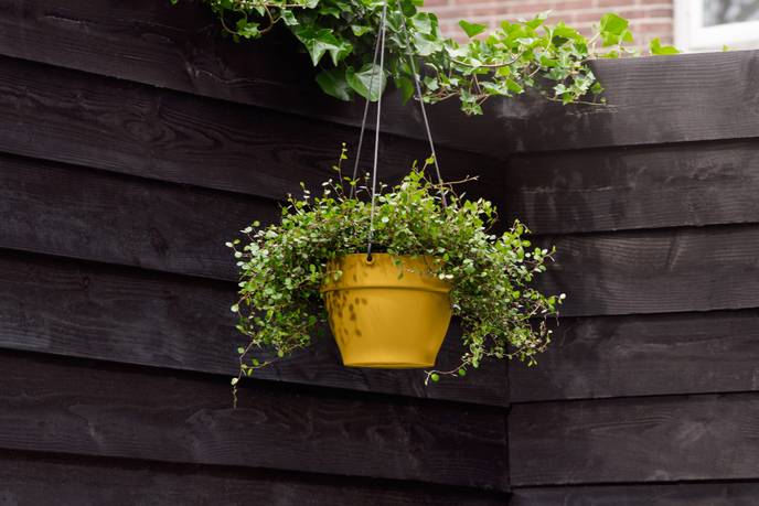 vibia campana hanging basket 26cm honey yellow
